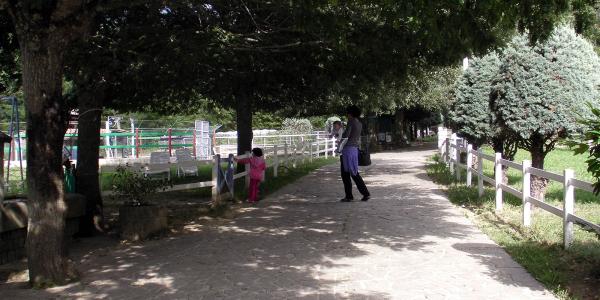 Giardino E Parco 5